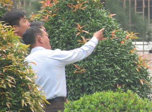 Vụ ông Tây cố thủ cùng vợ con: “Chuyện gia đình thôi” - 2