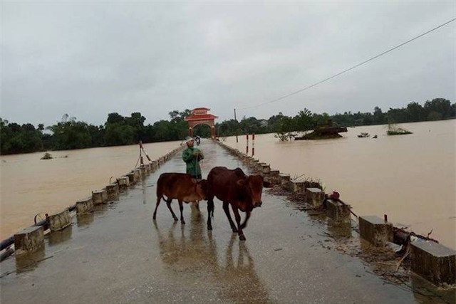 Hàng trăm nhà dân ở Hà Tĩnh bị ngập, hơn 30 nghìn học sinh phải nghỉ học - Ảnh 3.