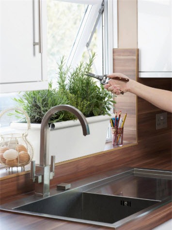 vi tri dat cay canh phong thuy cho tien troi vao tui - 2