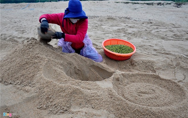 Dao ham cat lam gia do sach ven song Tra hinh anh 1