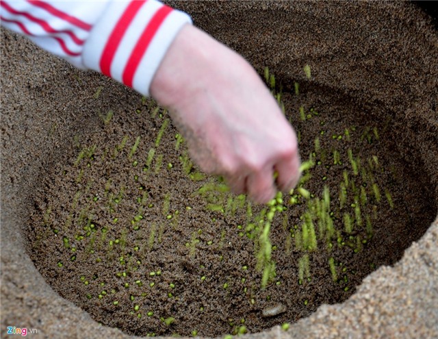 Dao ham cat lam gia do sach ven song Tra hinh anh 2