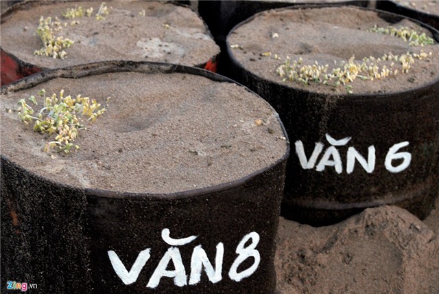 Dao ham cat lam gia do sach ven song Tra hinh anh 6