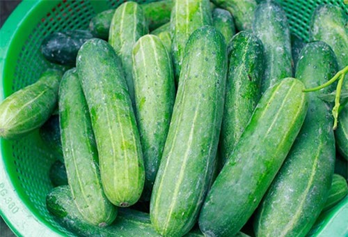 6 không khi ăn dưa chuột, gia đình Việt nào cũng phải biết - Ảnh 1.