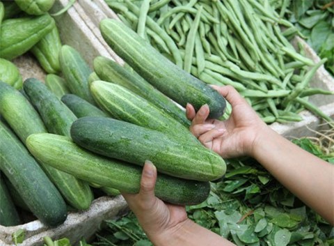 6 không khi ăn dưa chuột, gia đình Việt nào cũng phải biết - Ảnh 2.