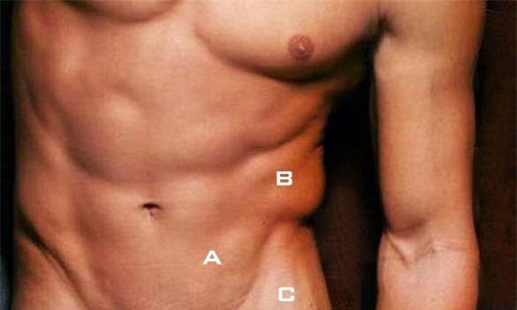 banh vu yen da lam gi de co the hinh cuon cuon co bap? hinh anh 8