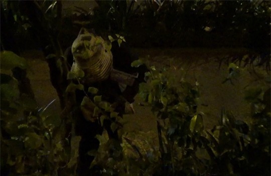 Thế nhưng ít ai biết được rằng sau khi hành nghề nam thanh niên này khỏe mạnh bình thường và thản nhiên lấy ma túy ra sử dụng tại góc công viên 23-9.