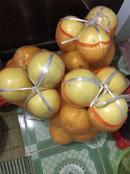 bưởi vàng óng, bưởi lạ, bưởi lạ ở chợ Hà Nội, bưởi Việt Nam, bưởi Tàu, bưởi Trung Quốc