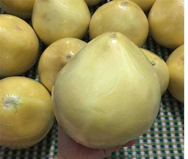 bưởi vàng óng, bưởi lạ, bưởi lạ ở chợ Hà Nội, bưởi Việt Nam, bưởi Tàu, bưởi Trung Quốc