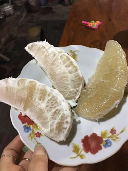 bưởi vàng óng, bưởi lạ, bưởi lạ ở chợ Hà Nội, bưởi Việt Nam, bưởi Tàu, bưởi Trung Quốc