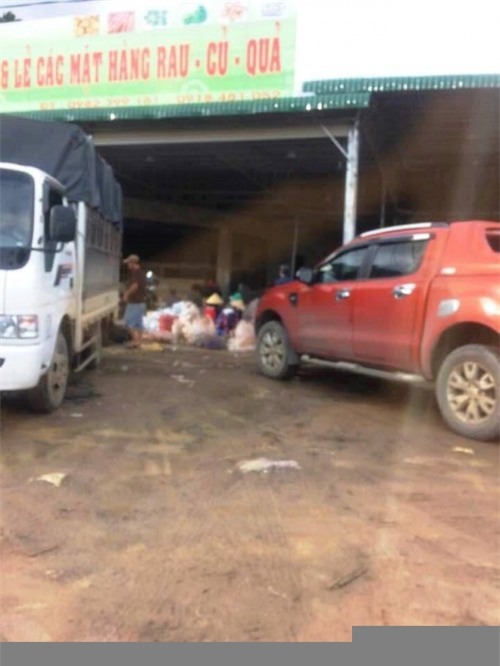 nông sản Trung Quốc, rau Đà Lạt, Đài Xuân Ái, nhập khẩu, nhập lậu, Trung Quốc, nhãn mác, xuất khẩu,Campuchia, đội lốt, rau quả