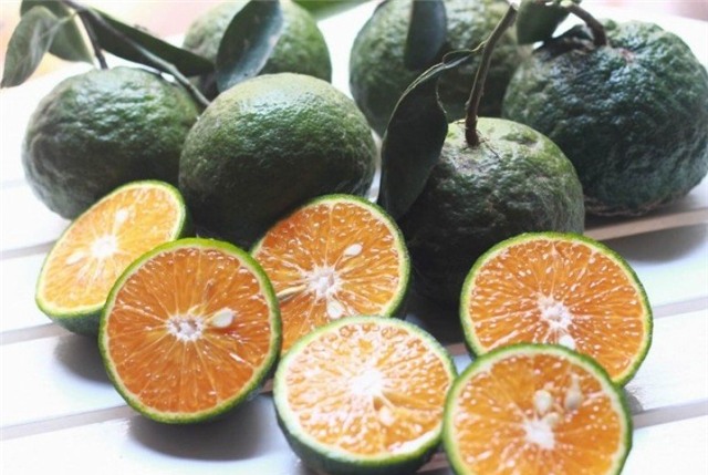 cam cao phong, cam vinh, cam sành, cao xoàn, cam trung quốc, cam bóc vỏ trung quốc, cam việt nam, cách nhận biết cam việt nam