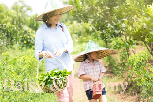 tạ bích loan, diễm quỳnh, trần quang minh, thanh vân hugo, hoài anh