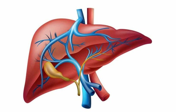 béo phì gây ung thư