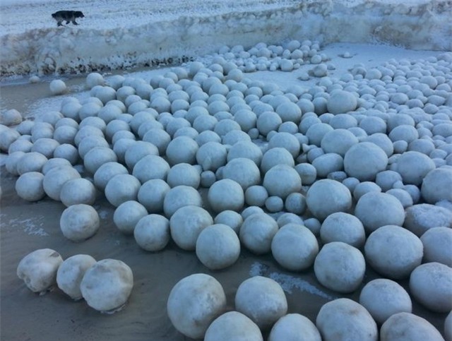 hang nghin bong tuyet khong lo keo nhau vao bo bien nga hinh anh 1