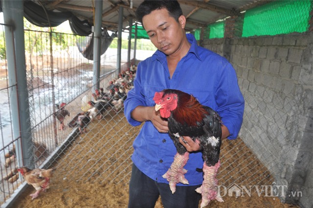 chu ga dong tao dua nhau san “hang doc” phục vụ dai gia bieu tet hinh anh 4