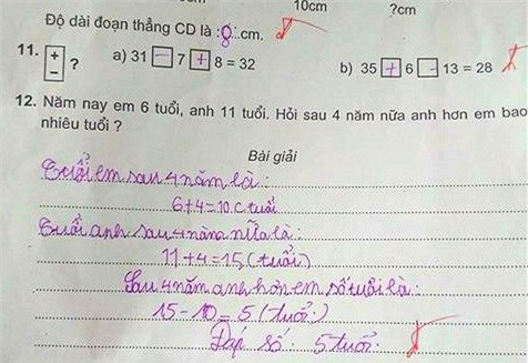 Tranh luan ve bai toan tieu hoc tinh so tuoi hinh anh 1