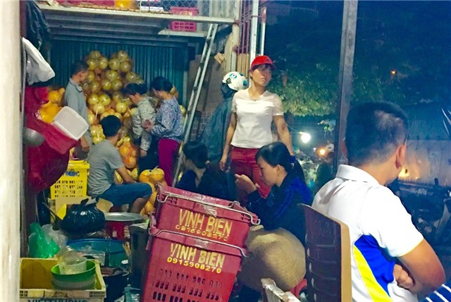 bưởi trung quốc, bưởi lạ vàng bóng, bưởi vàng bóng, bưởi việt nam