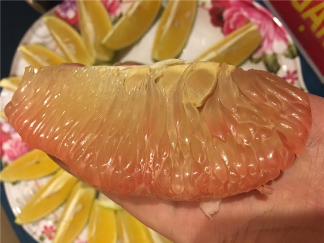 vải thiều, cam lục ngạn, bưởi lục ngạn, dân lục ngạn thu tiền tỷ