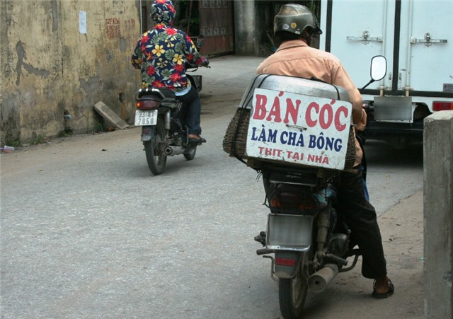 ăn cháo cóc, tử vong, vũng tàu