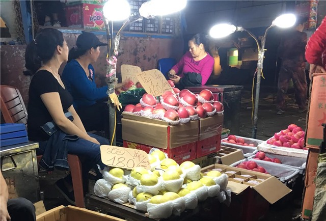 táo trung quốc, táo đỏ bọc túi độc, táo trung quốc bọc túi đọc, hoa quả trung quốc, táo tàu