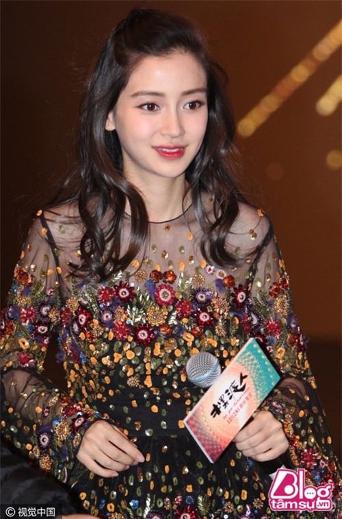 vo tuan hung blogtamsuvn (12)