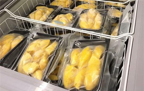 sầu riêng, sầu riêng Malaysia, sầu riêng đắt nhất thế giới, sầu riêng Việt Nam, hoa quả Việt Nam, hoa quả nhập khẩu