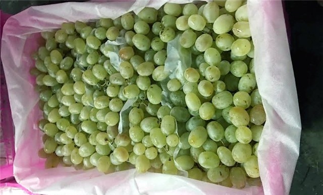 Hoa quả Tàu 6 - 10 ngàn/kg, dấu vết cảnh báo dính độc