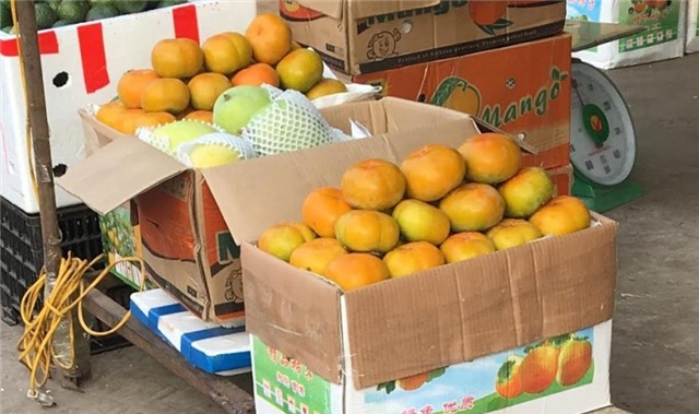 Hoa quả Tàu 6 - 10 ngàn/kg, dấu vết cảnh báo dính độc