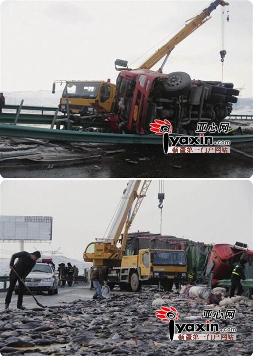 tai xe khoc nuc no vi xe cam bi lat ma nguoi dan van lao vao hoi cua - 6