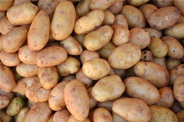 Mùa đông, chọn rau củ nào an toàn, tránh nhầm hàng Tàu?