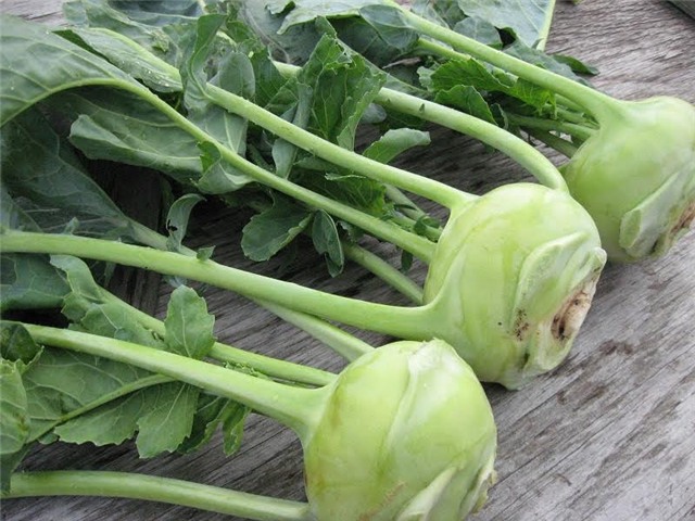 Mùa đông, chọn rau củ nào an toàn, tránh nhầm hàng Tàu?