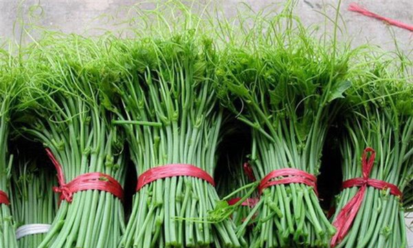 Mùa đông, chọn rau củ nào an toàn, tránh nhầm hàng Tàu?