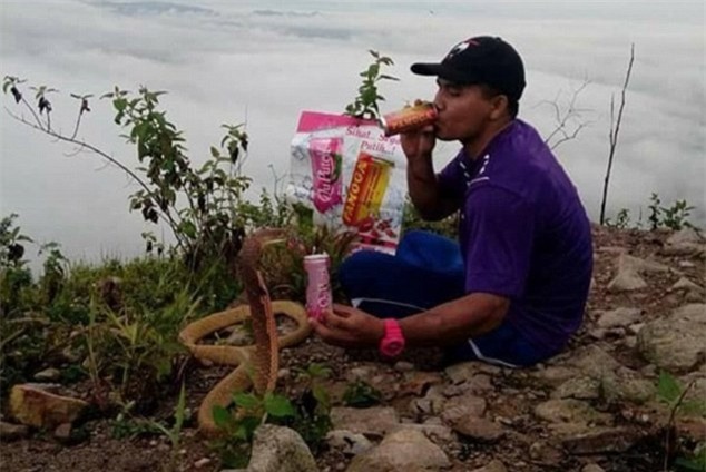 chang trai cuoi ran ho mang khong lo lam vo hinh anh 2