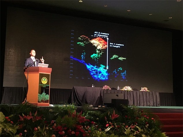 phat hien cay nhiet doi cao nhat the gioi hinh anh 2