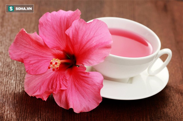 Xưa trồng làm hàng rào, giờ cây hoa này được tin để bảo vệ mạch máu, trị huyết áp cao - Ảnh 2.