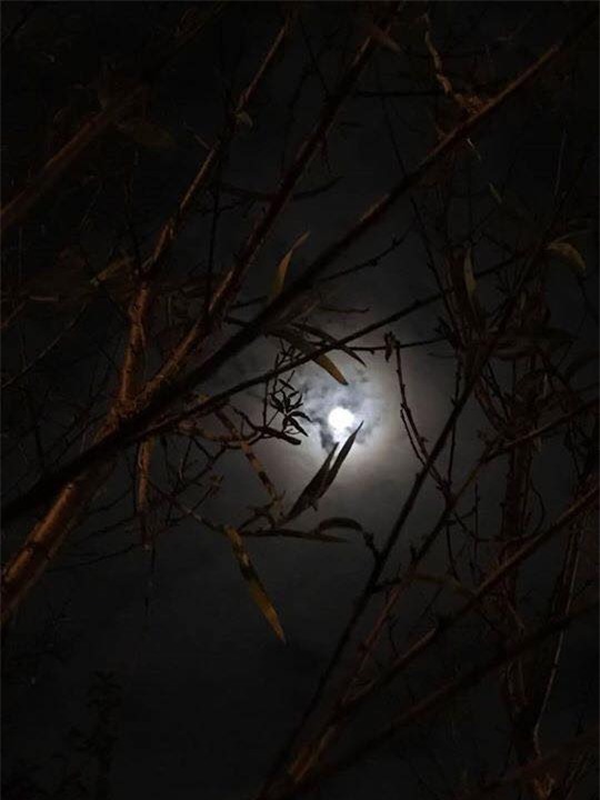 dan mang hao huc chia se anh sieu mat trang o viet nam hinh anh 6