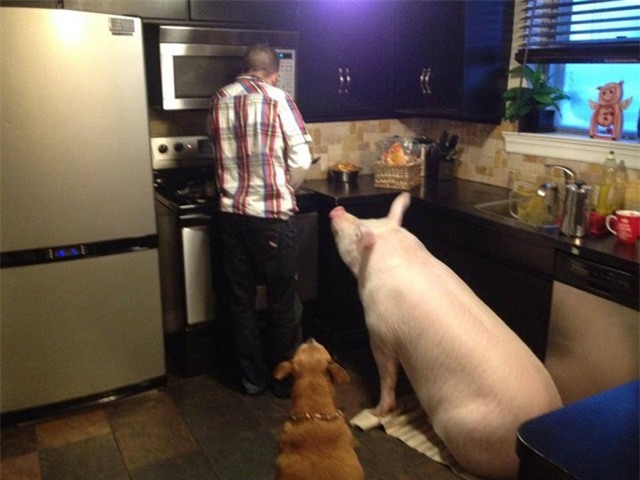 can loi voi nhung tinh huong "tro treu" trong doi hinh anh 15