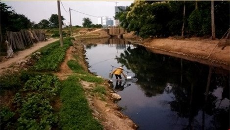 Rùng mình với mớ rau xanh non, mỡ màng ngoài chợ