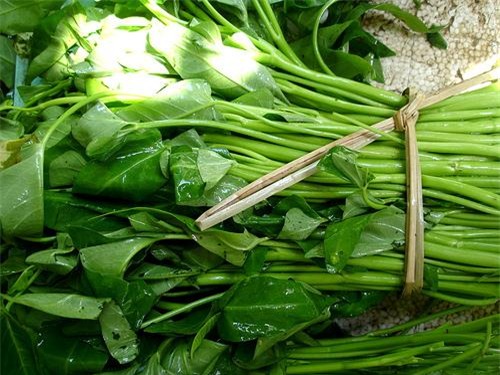 Rùng mình với mớ rau xanh non, mỡ màng ngoài chợ