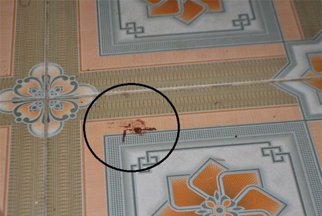 Đối tượng tình nghi giết hại sãi trông chùa là 2 đứa cháu - Ảnh 7.