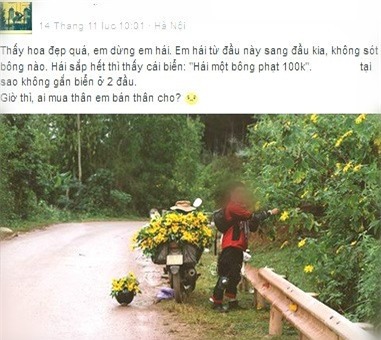 Nam phuot thu khoe anh hai het hoa da quy tren duong hinh anh 1