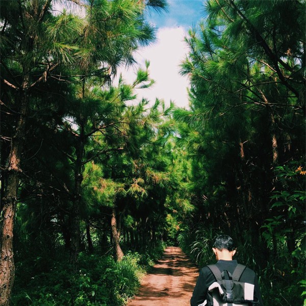 dalat3