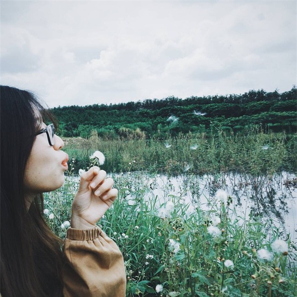 dalat3