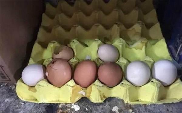 Vợ bán trứng gà, chồng hốt hoảng nhờ cả cảnh sát lùng sục người mua vì lý do