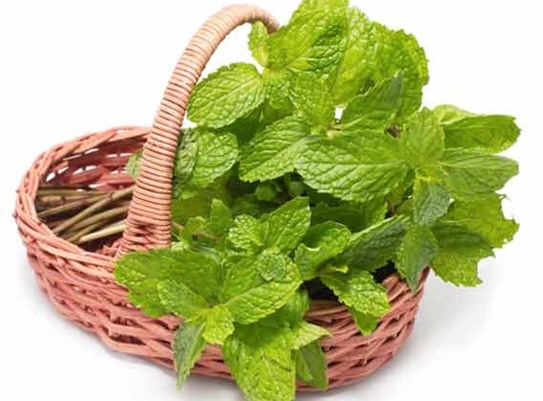 Giật mình về những thực phẩm làm giảm ham muốn - Ảnh 6.