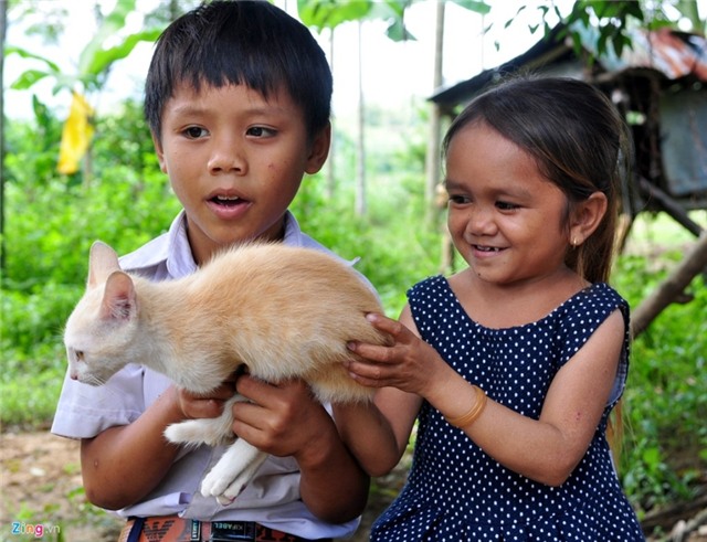 Ba nguoi ty hon o cung huyen vung cao Quang Ngai hinh anh 11