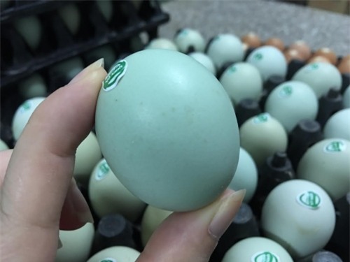 ba noi tro ha thanh do xo mua trung ga xanh vi nhieu dinh duong - 3