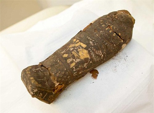 Tìm thấy xác ướp trẻ nhất thế giới cách đây 2.300 năm - 1
