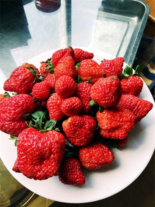 vuon rau san thuong 170m2 chen chuc rau, hoa, qua ruc ro cua me viet - 14