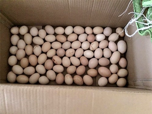 vuon rau san thuong 170m2 chen chuc rau, hoa, qua ruc ro cua me viet - 17